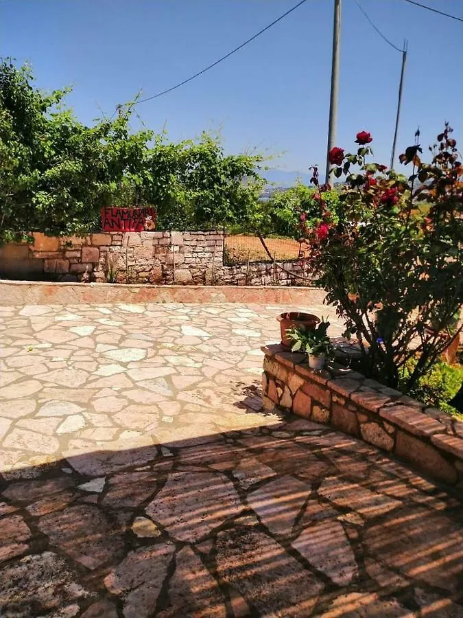 Vila Panorama كساميل ألبانيا